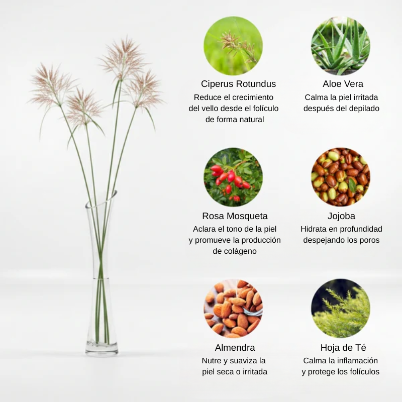 Cyperus Rotundus - Aceite Antivellos